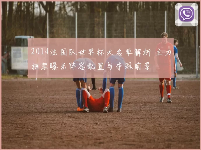 2014法国队世界杯大名单解析 主力框架曝光阵容配置与夺冠前景