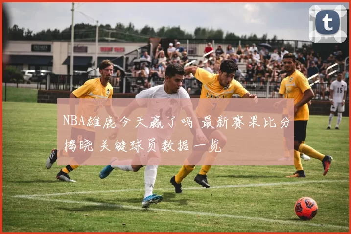 NBA雄鹿今天赢了吗 最新赛果比分揭晓 关键球员数据一览
