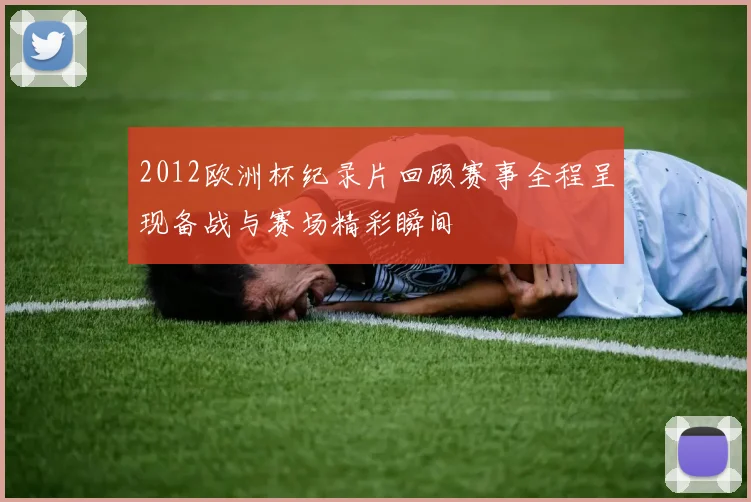 2012欧洲杯纪录片回顾赛事全程呈现备战与赛场精彩瞬间