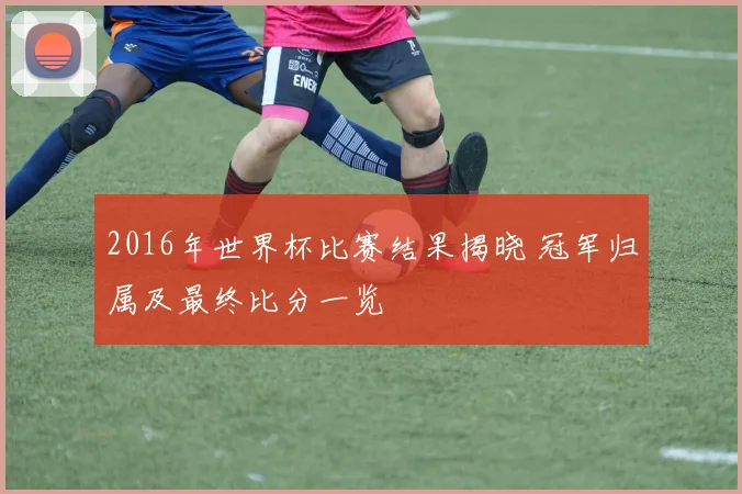 2016年世界杯比赛结果揭晓 冠军归属及最终比分一览