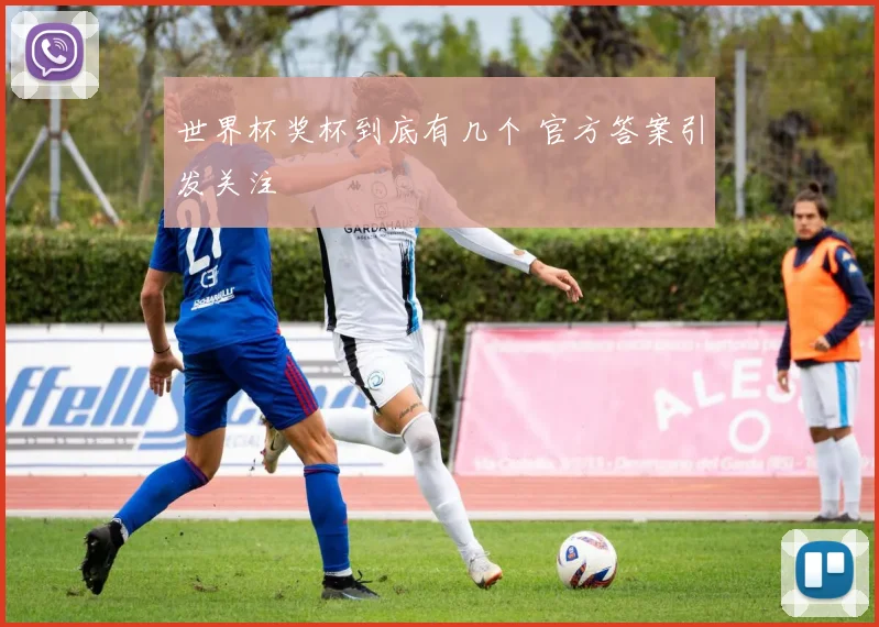 世界杯奖杯到底有几个 官方答案引发关注