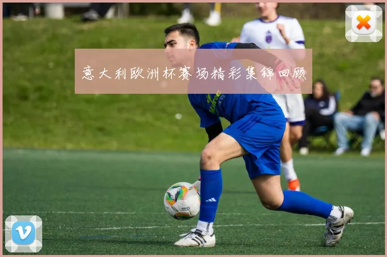 意大利欧洲杯赛场精彩集锦回顾