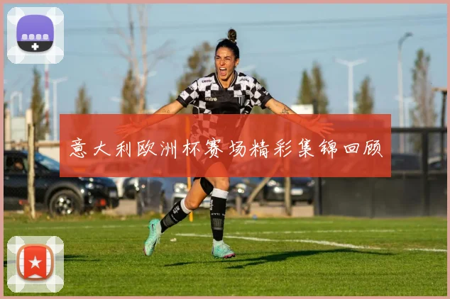意大利欧洲杯赛场精彩集锦回顾